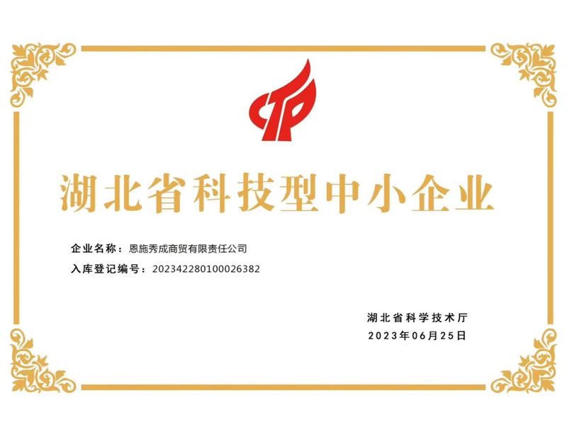 科技型中小企业